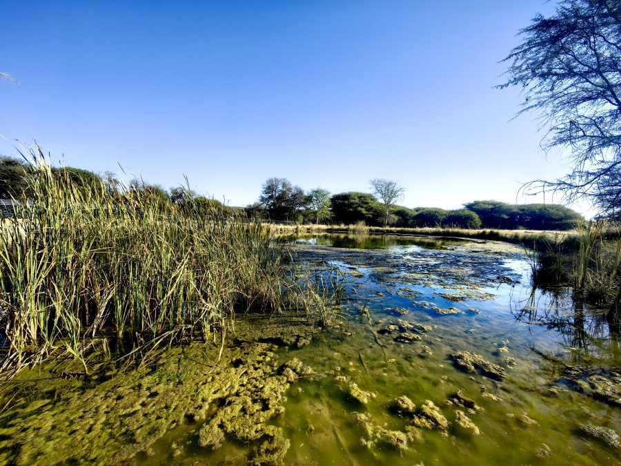 Commercial Property for Sale in Lindleyspoort North West